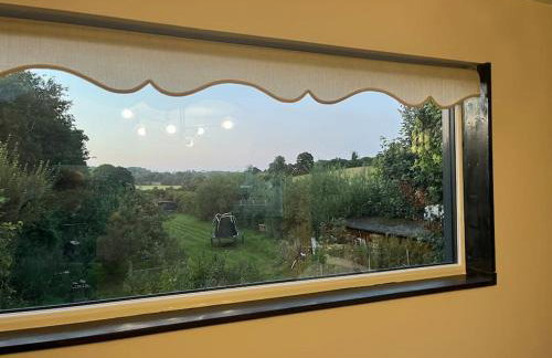 Little Sycamore - Foto 5