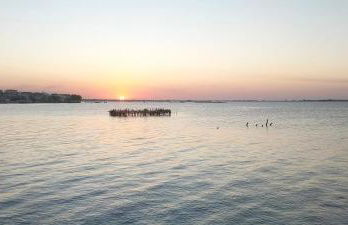 Casa Vacanze Lesina Gargano - Foto 13