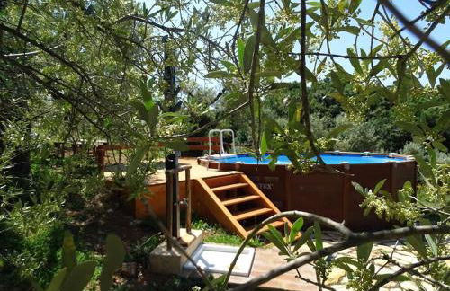 La Colombaia - Foto 6