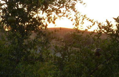 Agriturismo Fattoria San Sebastiano - Foto 9