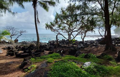 Ainaloa Home of Big Island for Queens size bedroom - Photo 4