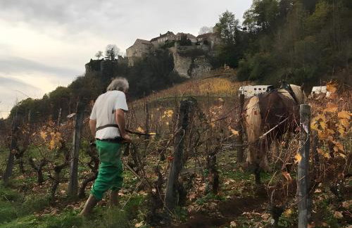 Gîte À La Ferme - La Popote - Foto 17