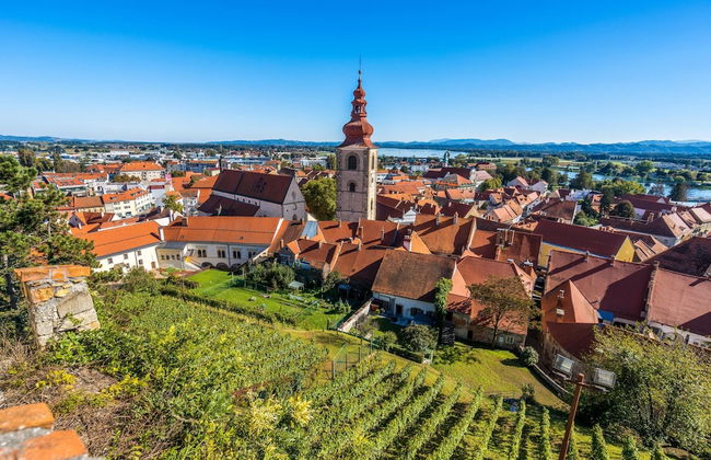 Vineyard Cottage Vesna Lake View - Foto 26