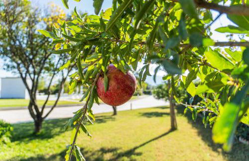 Villa Hera Relax - Foto 25