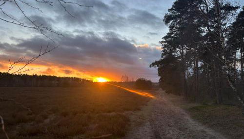 Ferienwohnungen Liedtke - Foto 5