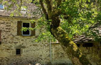 Le Moulin de Graunès - Photo 10