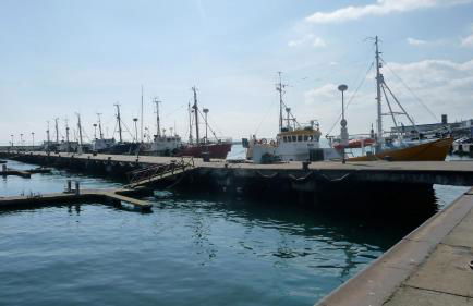 Ostseeblick Sassnitz - Foto 19