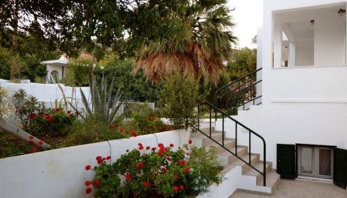 Moscha Studios - Photo 4