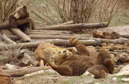 House Breza - Photo 47