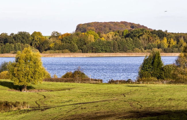 Courtyard View - Manor by the Lake - Photo 14