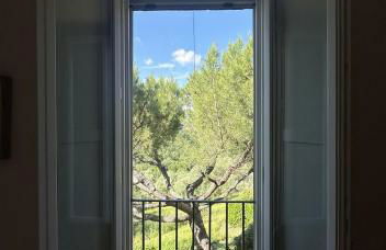 Podere di Montecchio - Le Andane - Foto 39