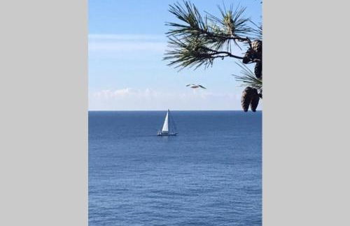 Nuevo Luminoso Apartamento Catalina a 80 metros de la playa para 4 personas - Foto 38