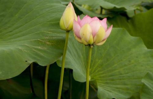 A Casa di Bruna - Foto 68