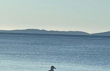 Les Salins de Hyères Vue Mer Exceptionnelle Superbe T2 de 55m2 - Foto 17