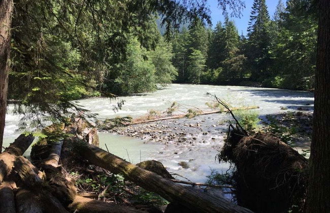 04SL - Hot Tub - BBQ - Pets OK - Sleeps 5 - Foto 28