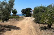 Elia Luxury Villas by Eliamare - Foto 27