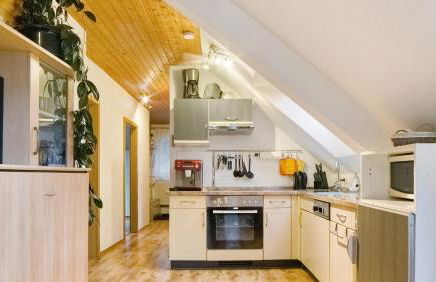 Ferienwohnungen Seeblick - Foto 43