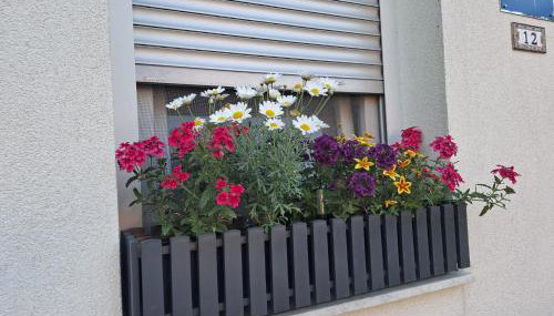 Studio apartman Marta - Foto 5