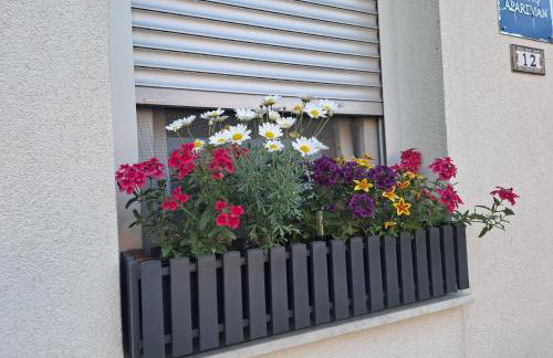 Studio apartman Marta - Foto 5