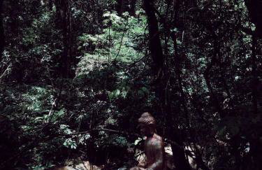 Quinta da Bocaina - Foto 50