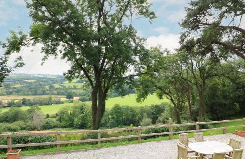 Little Silver Pheasant - Foto 26