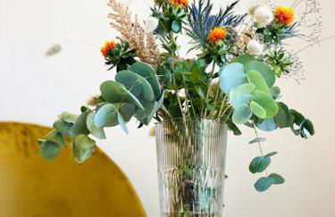 Sunrise - Gare & centre ville - Photo 16