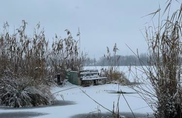 Seeidyll an der Wublitz - Photo 79