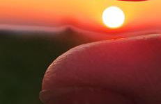 HAPPY PLACE Pusteblume - Foto 21