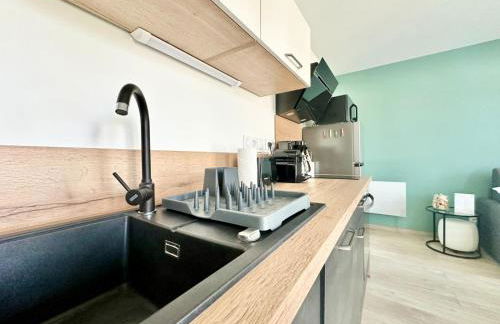 Le Lemovice, lumineux et calme - Foto 12