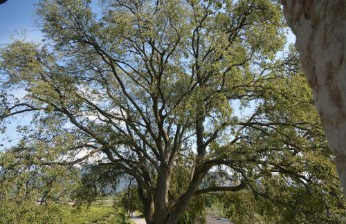 Residence Corte Bellebarbe - Foto 12