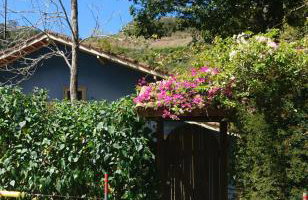 Casa do Artista - Foto 17