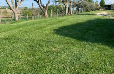 Agriturismo La Collinetta - Foto 7