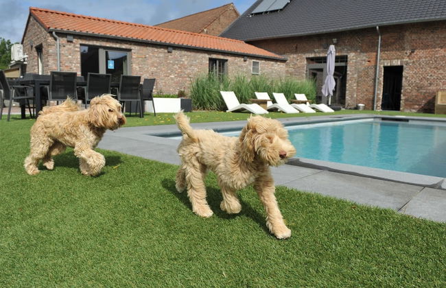 Vlaanderen Cozy Cottage - Foto 14