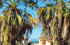 Villa Frantina - Foto 36