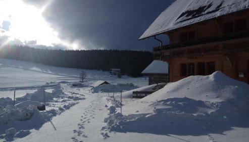 Holzhof - Photo 4