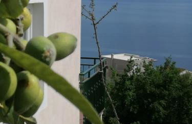 STAR of the SEA 2 - Photo 48