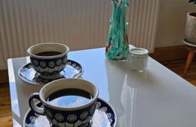 Graniczna 21 - w Górach Sowich - Foto 14