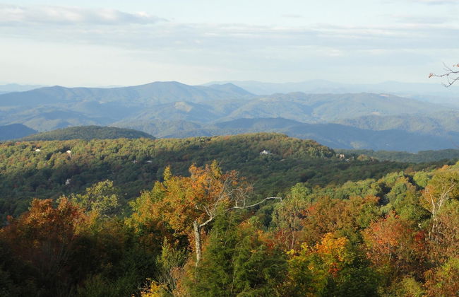 VCI - Elderberry Overlook - Foto 31