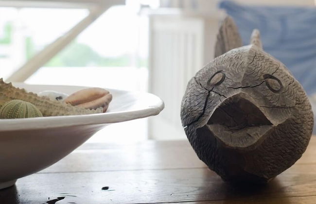 La Petite Baleine - Foto 15