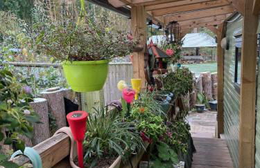 Secluded Woodland Hideaway - 2 Bed with Private Parking - Photo 7