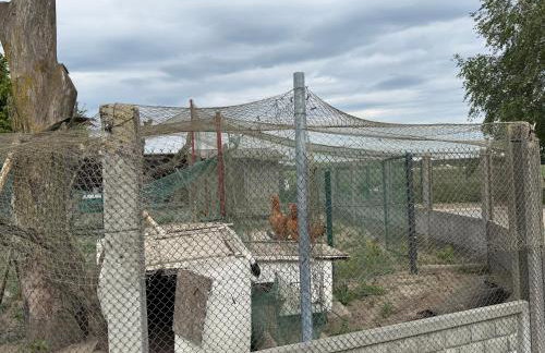 Agroturystka Jaśkowo - Foto 65