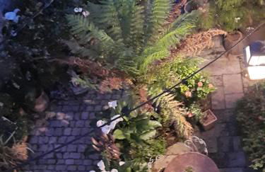 Terra-Crystal - Foto 58