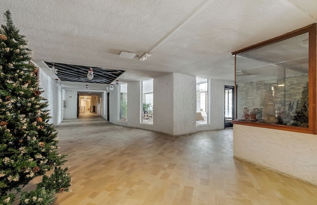 Studio Blue Petit - Foto 18