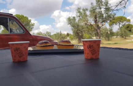 Uliveto Sant' Isidoro - Foto 40