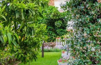 Milonas House Apartments - Foto 43