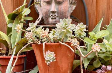 Modern & Open 2BR in Rockridge, Highly Walkable on Oakland Berkeley Border - Foto 19