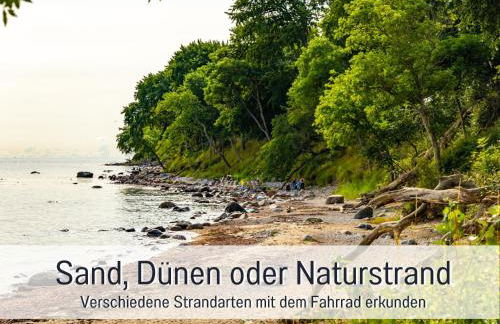 Casa Ueberall - Ruhige DG-Ferienwohnung für 2 Erwachsene in Burg - Balkon mit Abendsonne, hochwertige Ausstattung, überdachter E-Bike-Stellplatz, Nähe zur Altstadt & Restaurants - Foto 45