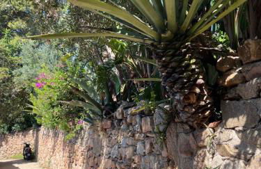 Wiki's Place - Foto 38