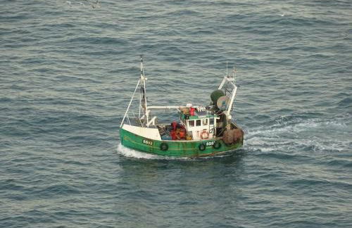 Quirky fisherman's cottage by the sea in Brixham - Photo 55