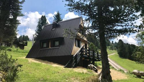 Chalet Paoletta - Alpe Cermis - Foto 3